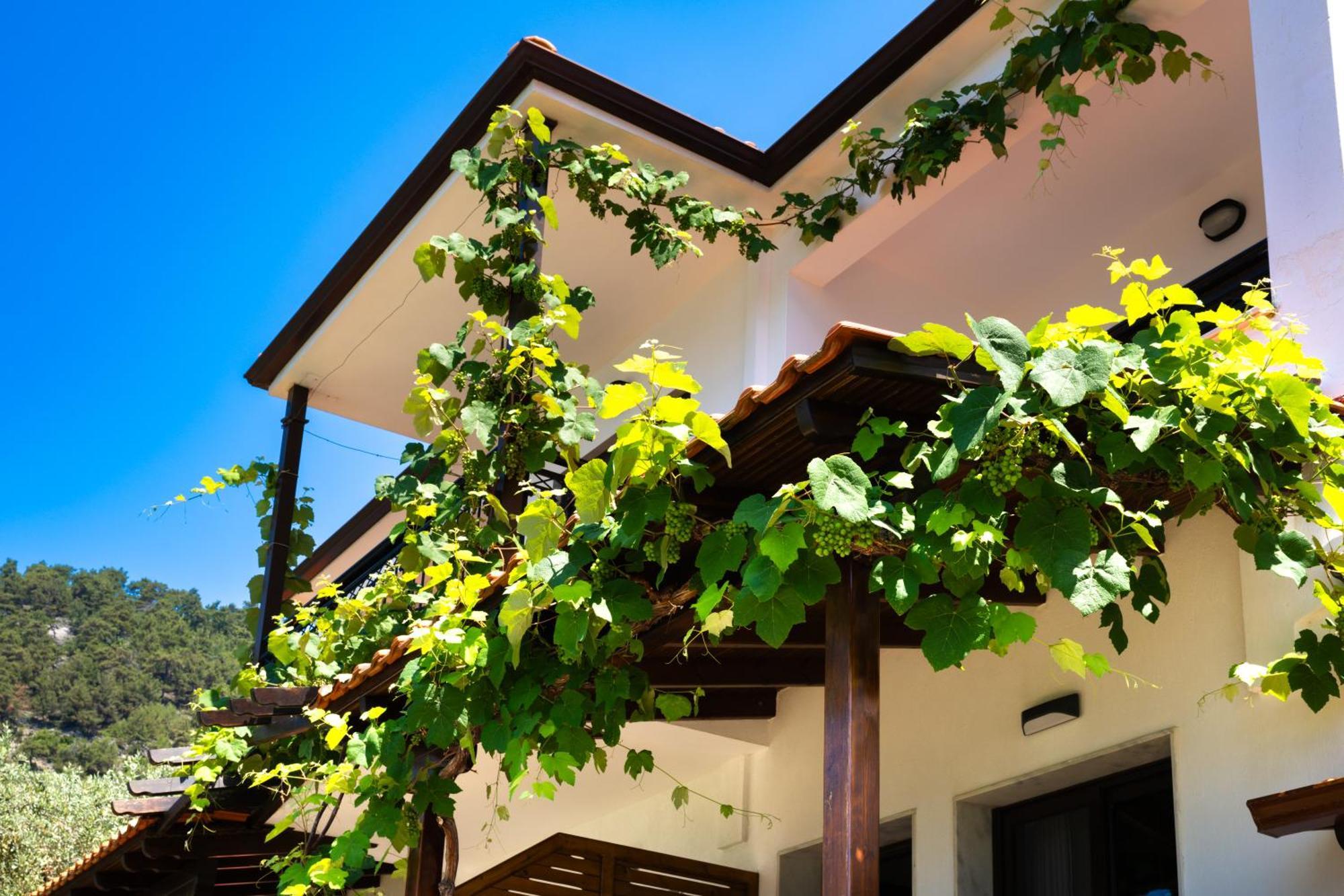 Island View Villa Golden Beach (Thassos) Exterior foto